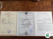 Satılır 1 otaqlı 55 m2 bağ evi Biləcəri