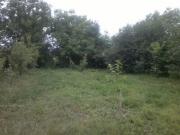 Satılır 8 sot torpaq Quba