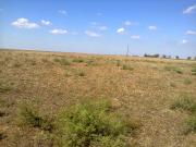 Satılır 164 sot torpaq Masallı