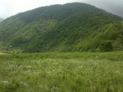 Satılır 20 sot torpaq İsmayıllı