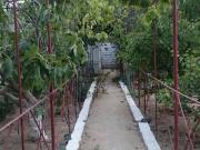 Satılır 2.5 sot torpaq Balakən