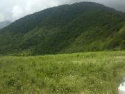 Satılır 20 sot torpaq İsmayıllı