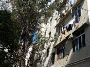 Satılır 2 otaqlı 47 m2 yeni tikili 3 mkr