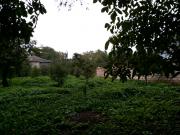 Satılır 6 sot torpaq Quba