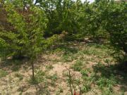 Satılır 3 sot torpaq Buzovna