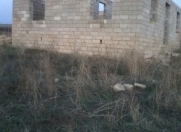 Satılır 2 otaqlı 80 m2 bağ evi Şamaxı