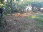 Satılır 6 sot torpaq Sumqayıt