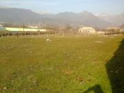 Satılır 2200 sot torpaq İsmayıllı