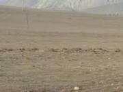 Satılır 5 sot torpaq Sumqayıt