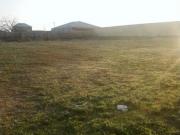 Satılır 500 sot torpaq Xaçmaz