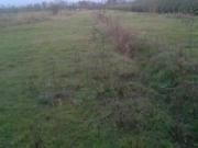 Satılır 45 sot torpaq Zaqatala