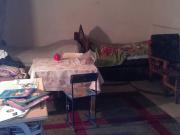 Satılır 5 otaqlı 200 m2 bağ evi Nizami r.