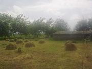 Satılır 2 otaqlı 0 m2 obyekt Şəki