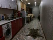 Satılır 4 otaqlı 100 m2 bağ evi Rəsulzadə