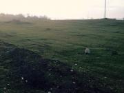 Satılır 72 sot torpaq Quba