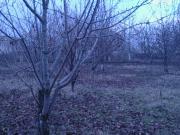 Satılır 100 sot torpaq Quba