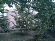 Satılır 15200 sot torpaq Quba