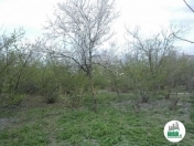 Satılır 6 sot torpaq Xaçmaz