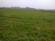 Satılır 300 sot torpaq Xaçmaz