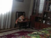 Satılır 6 otaqlı 200 m2 bağ evi Hövsan