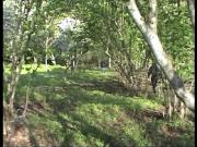 Satılır 16 sot torpaq Xaçmaz