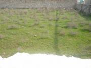 Satılır 10 sot torpaq Mingəçevir