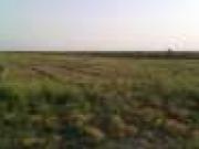 Satılır 500000 sot torpaq Kürdəmir