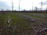 Satılır 6 sot torpaq Quba