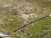 Satılır 6 sot torpaq Buzovna