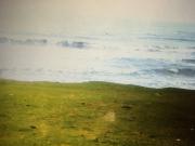 Satılır 3 sot torpaq Lənkəran