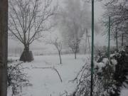 Satılır 4 sot torpaq İsmayıllı