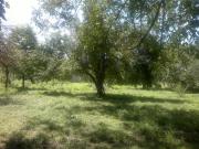 Satılır 1200 sot torpaq İsmayıllı