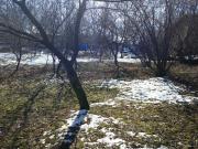 Satılır 25 sot torpaq Gəncə