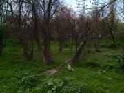 Satılır 23 sot torpaq Göyçay