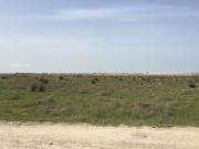 Satılır 20000 sot torpaq Buzovna