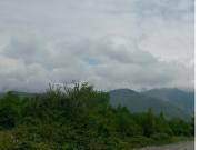 Satılır 500 sot torpaq Oğuz