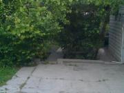 Satılır 2 otaqlı 60 m2 bağ evi Rəsulzadə