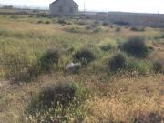 Satılır 24000 sot torpaq Sumqayıt