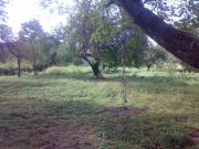 Satılır 1200 sot torpaq İsmayıllı