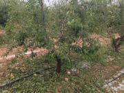 Satılır 100 sot torpaq 1 mkr