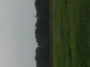 Satılır 252 sot torpaq Quba