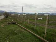 Satılır 30 sot torpaq Quba