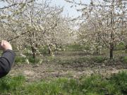 Satılır 4500 sot torpaq Quba