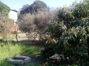 Satılır 26 sot torpaq Sumqayıt