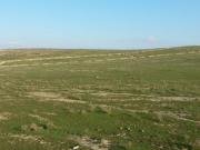 Satılır 4040 sot torpaq Xırdalan