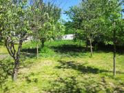 Satılır 5 sot torpaq Oğuz