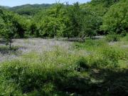 Satılır 18 sot torpaq Quba