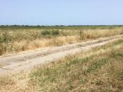 Satılır 1000 sot torpaq Xaçmaz