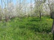 Satılır 10 sot torpaq Quba