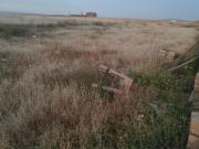 Satılır 200 sot torpaq Xırdalan